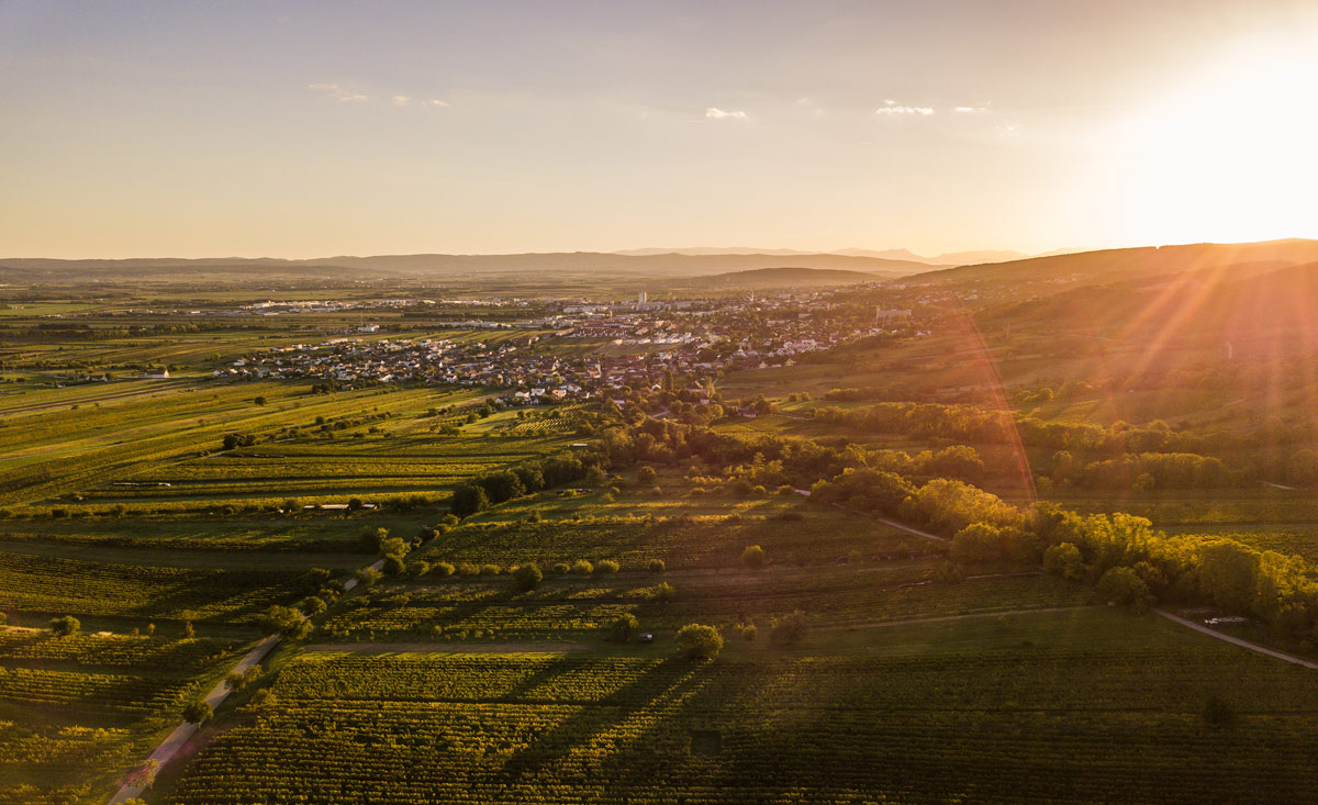 Boutique Hotels im Burgenland