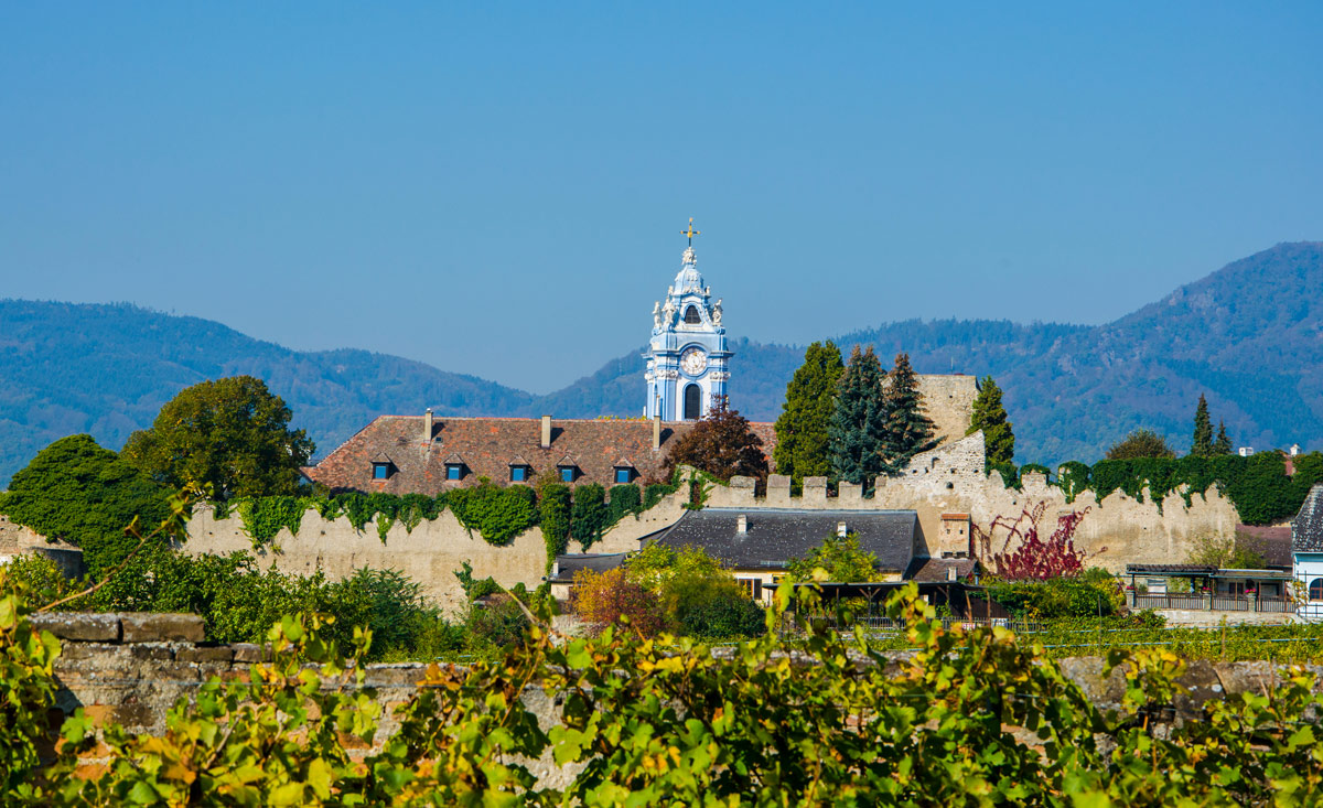 Das Weingebiet in der Wachau