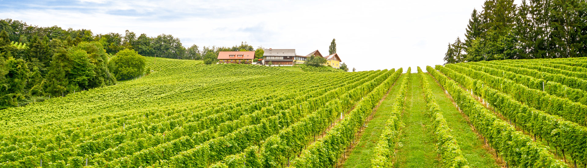 Genussurlaub Südsteiermark