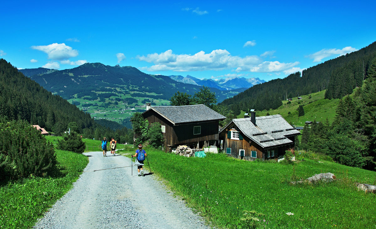 Wanderurlaub auf der Alm in Vorarlberg