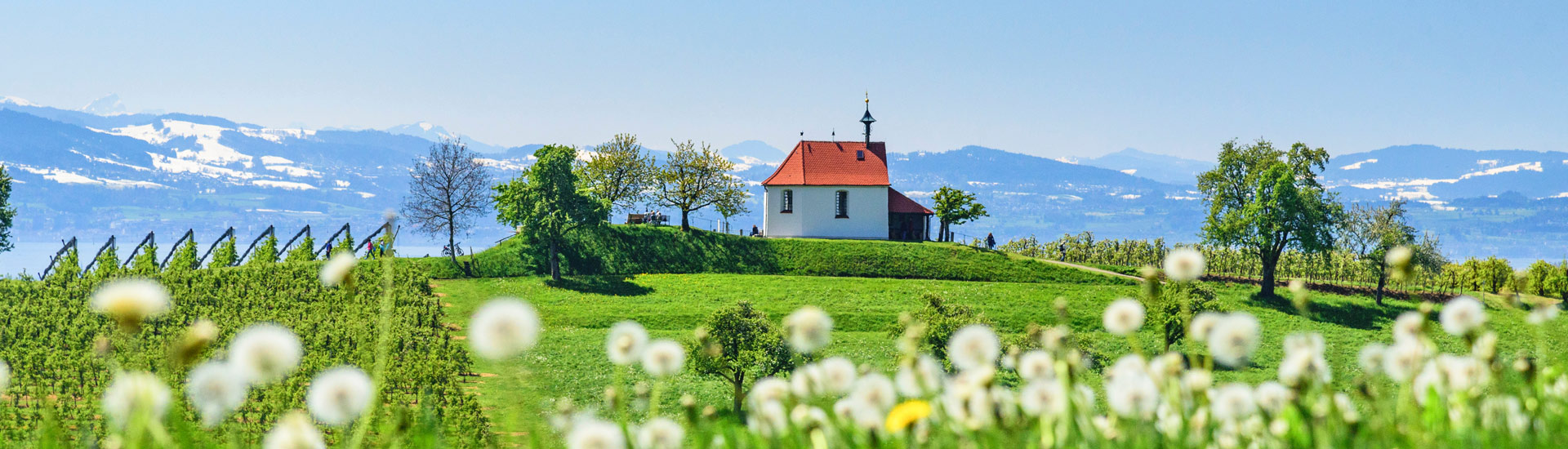 Vorarlberg Boutique Hotels
