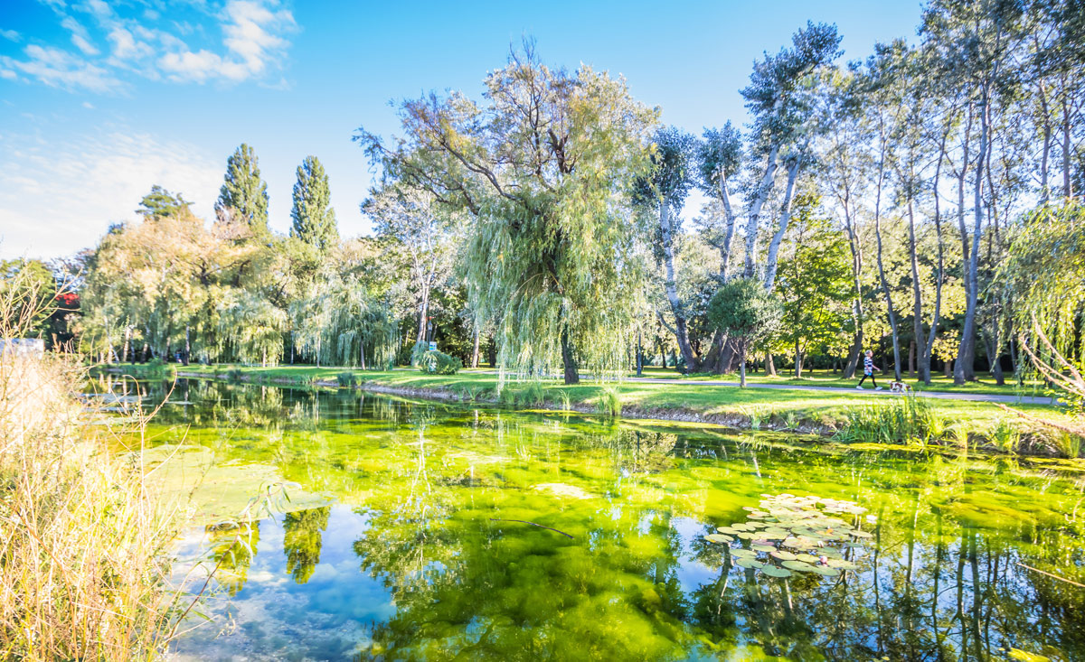 Der Floridsdorfer Wasserparkt zählt zu den Highlights in Wien