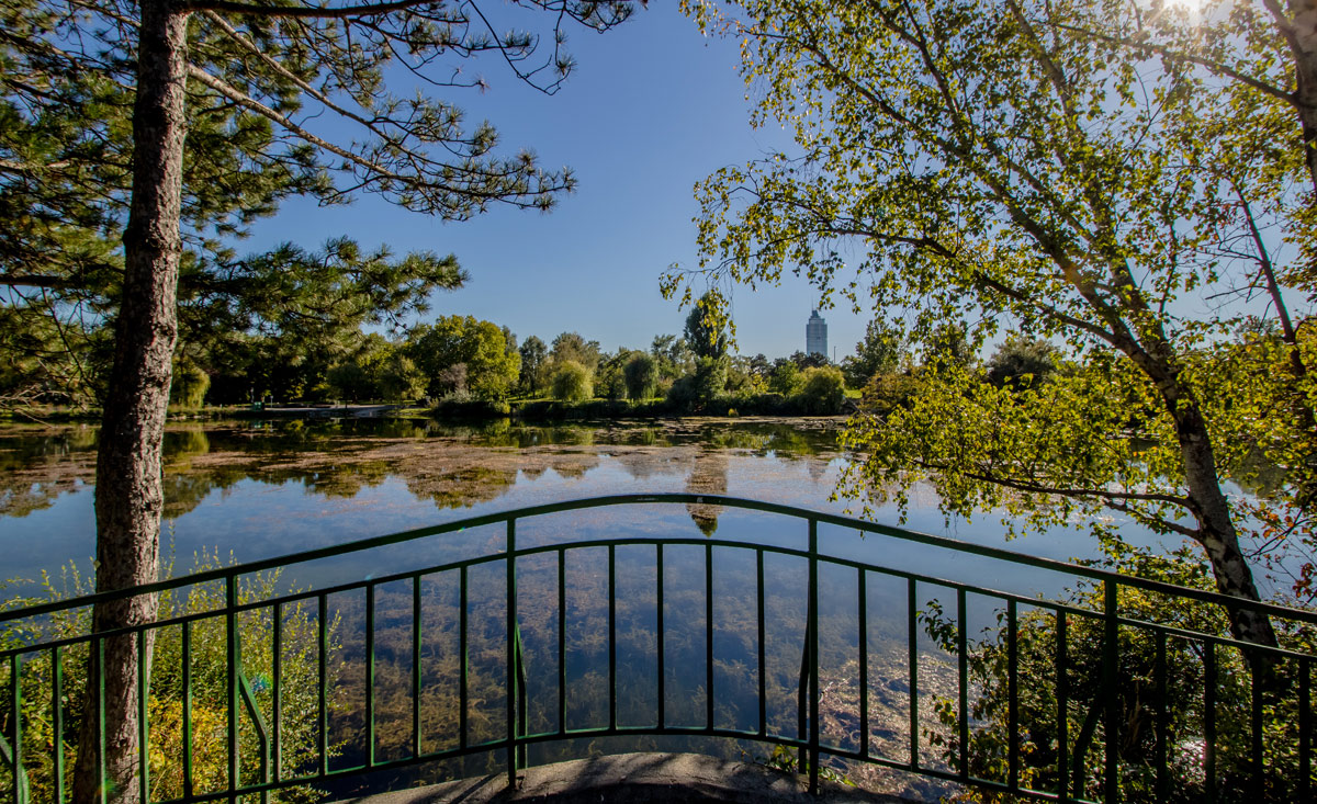 Der Wasserpark Floridsdorf ist ein als Parkanlage gestalteter Teil der Alten Donau